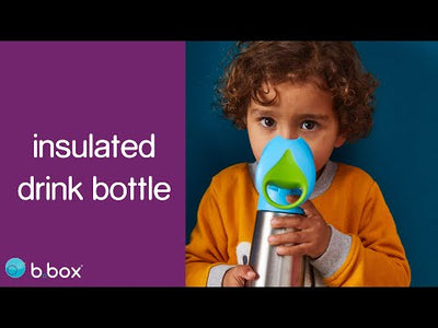 b.box 500ml insulated drink bottle