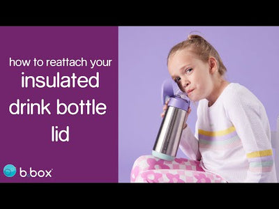 b.box 500ml insulated drink bottle