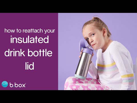 b.box 500ml insulated drink bottle