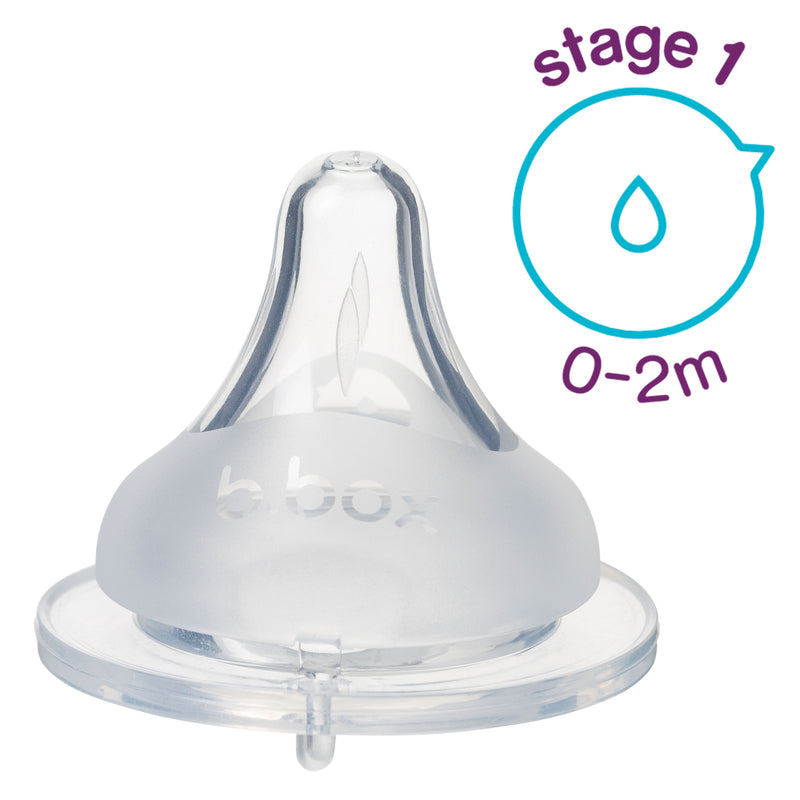 b.box 2 pack baby bottle anti-colic teat