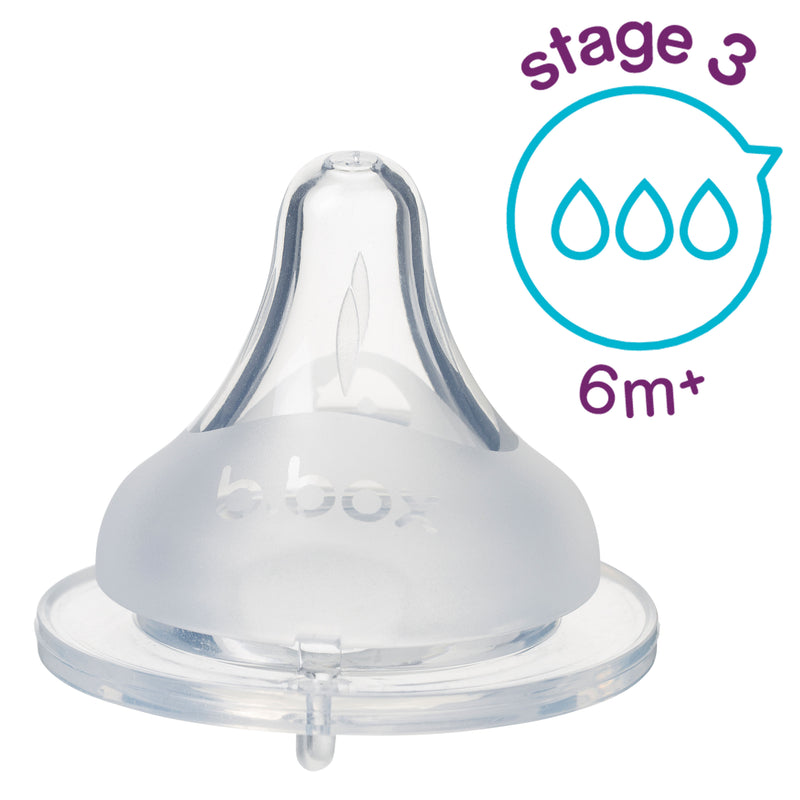 b.box 2 pack baby bottle anti-colic teat